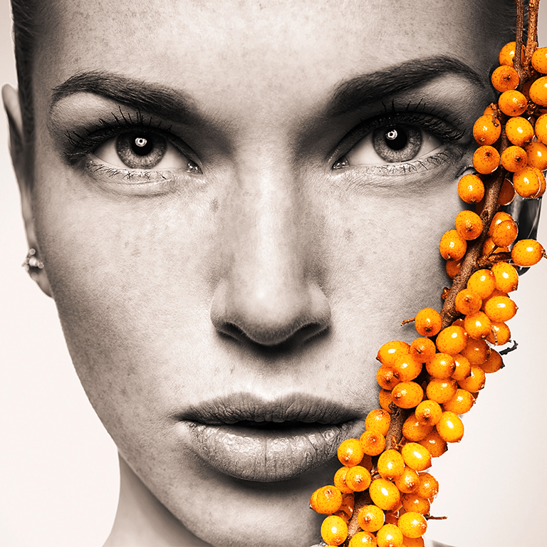 Rokitnik - złoto Syberii, rosyjski ananas a może lek na całe zło?